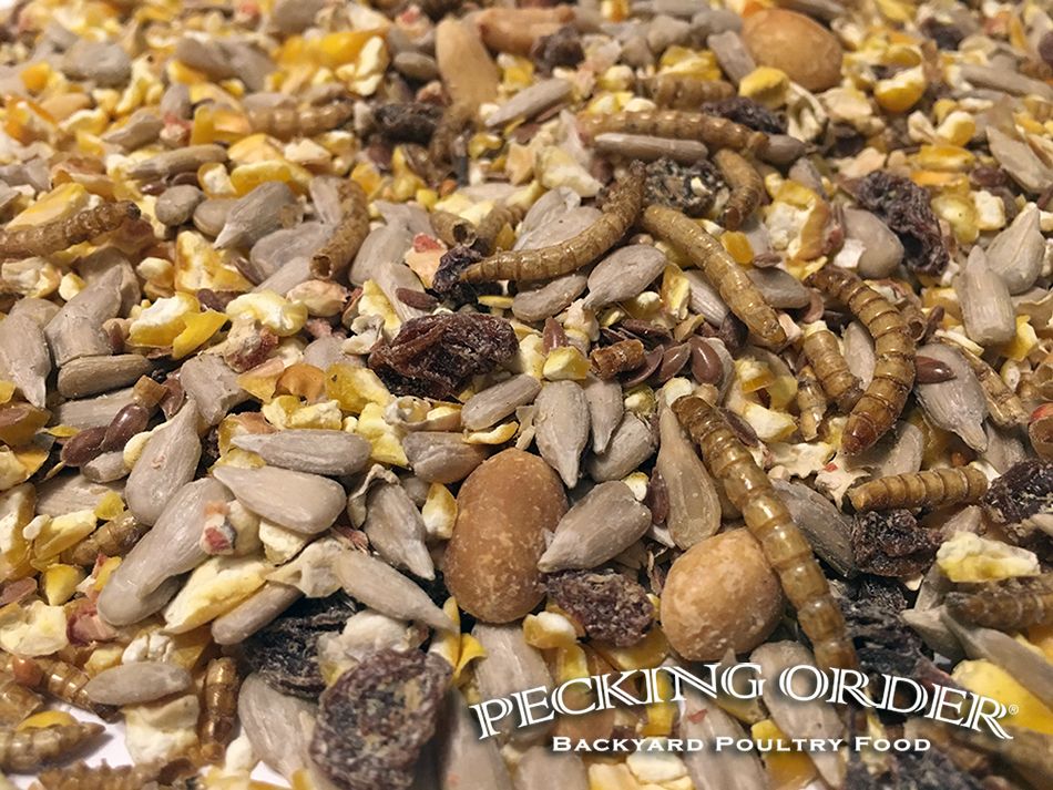 3-Pound Chicken Mealworm Treat 3 3-Pound Chicken Mealworm Treat