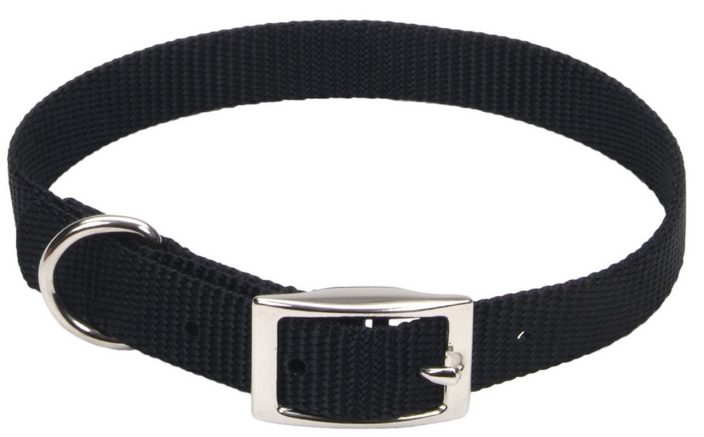 5/8 x 16-Inch Single Ply Nylon Dog Collar, Black