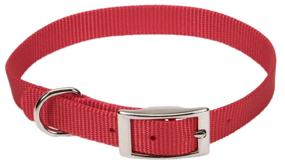 5/8 x 14-Inch Single Ply Nylon Dog Collar, Red