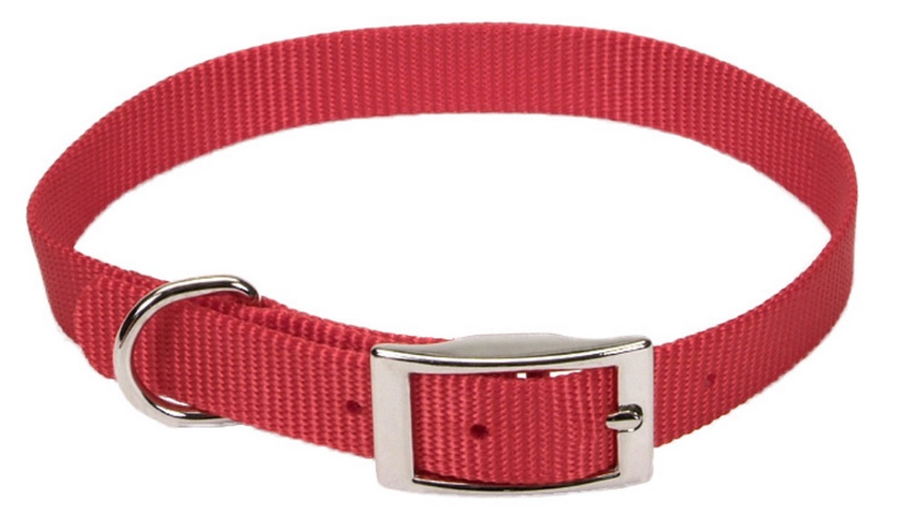 5/8 x 16-Inch Single Ply Nylon Dog Collar, Red