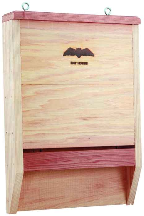 Bat House