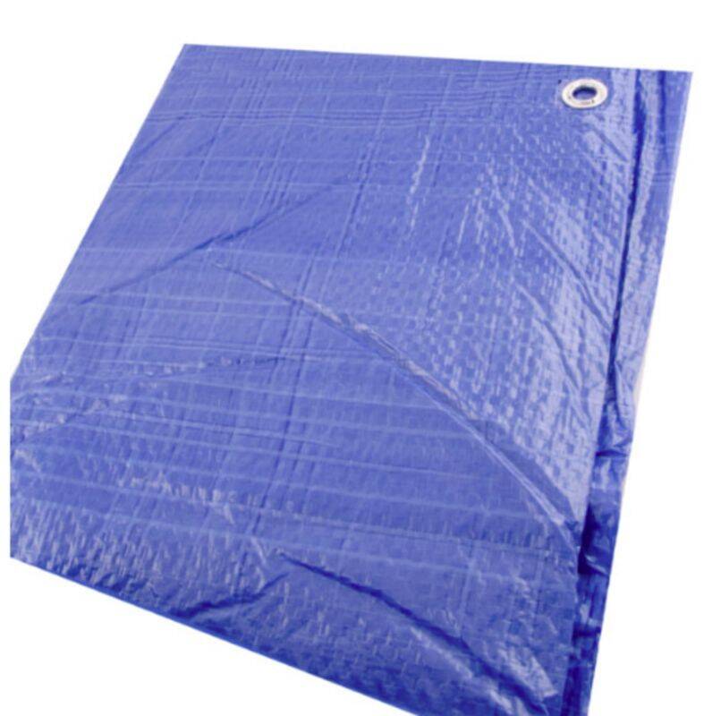 8x 10-Foot Blue Economy Grade Poly Tarp