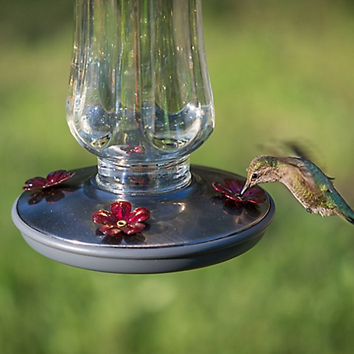 Starglow Clear Vintage Hummingbird Feeder