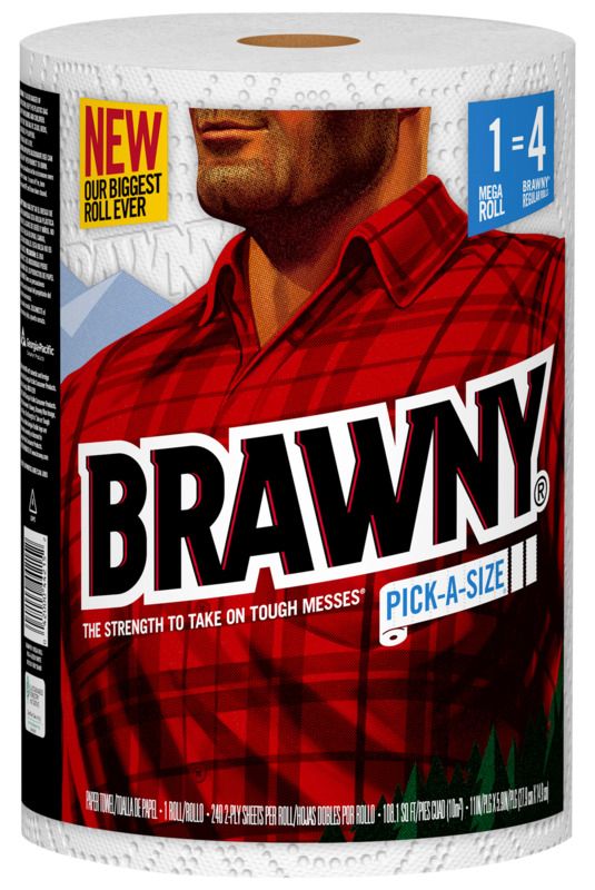 2-Ply Pick-A-Size Paper Towel 1 2-Ply Pick-A-Size Paper Towel
