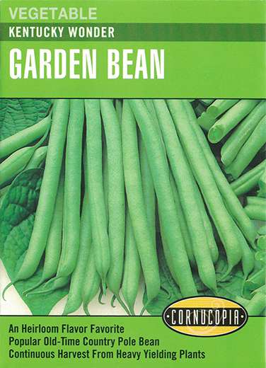 Kentucky Wonder Garden Bean Seeds 1 Kentucky Wonder Garden Bean Seeds