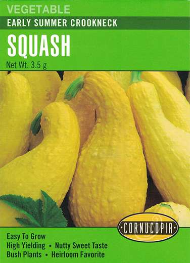 Early Summer Crookneck Squash Seeds 1 Early Summer Crookneck Squash Seeds