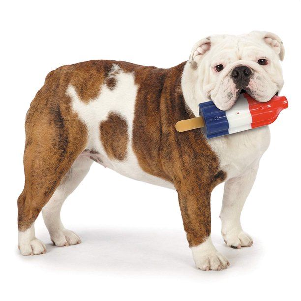 Mini Rocket Pop Dog Toy 3 Mini Rocket Pop Dog Toy