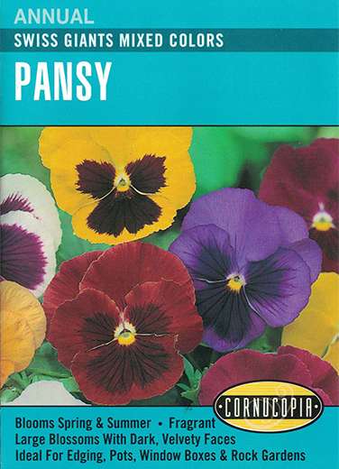 Swiss Giants Mixed Colors Pansy Seeds 1 Swiss Giants Mixed Colors Pansy Seeds