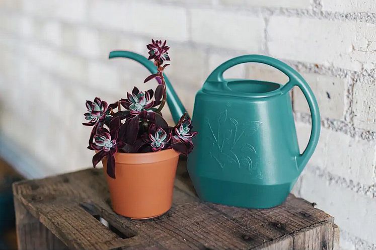 144-Ounce Bermuda Teal Aqua Rite Watering Can