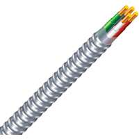 25-Foot Type Mc Armored Cable