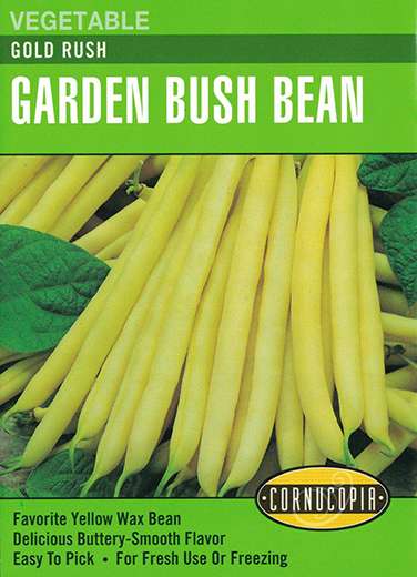 Gold Rush Garden Bush Bean Seeds 1 Gold Rush Garden Bush Bean Seeds