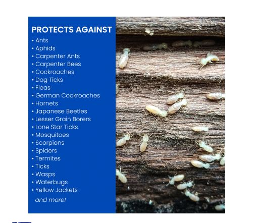 1.3-Gallon Ready-To-Use Carpenter Ant And Termite Killer Plus 1 1.3-Gallon Ready-To-Use Carpenter Ant And Termite Killer Plus