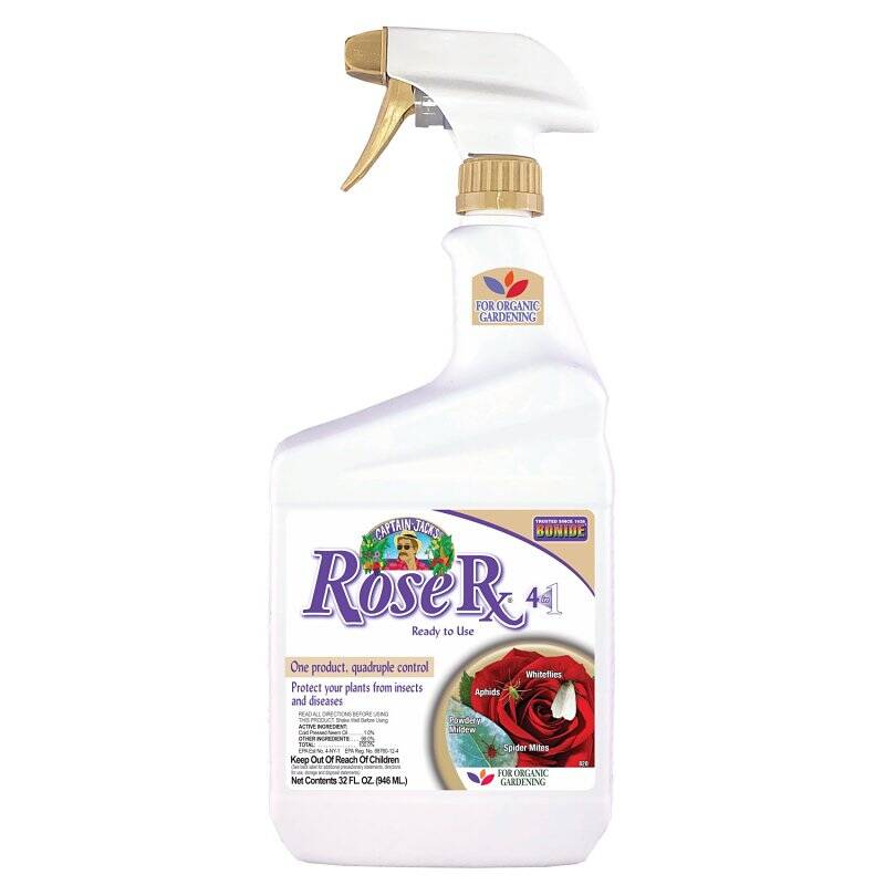 1 Quart Captain Jack's Rose Pesticide Liquid- 4-in-1
