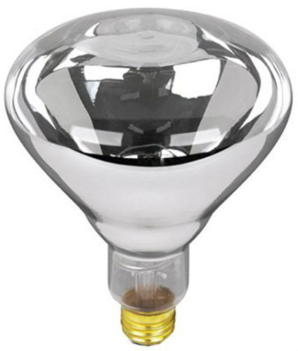 125-Watt Incandescent Br40