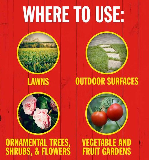 1-Gallon Insect Killer