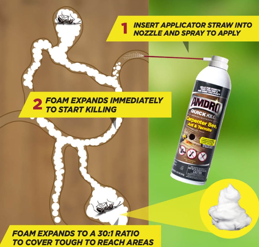 18-Ounce Quick Kill Carpenter Bee, Ant And Termite Foam Insect Killer 1 18-Ounce Quick Kill Carpenter Bee, Ant And Termite Foam Insect Killer