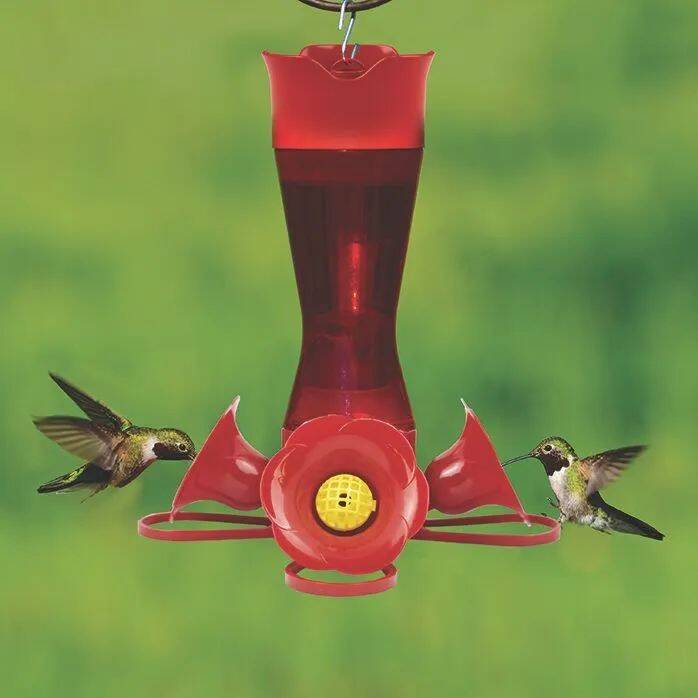 8-Ounce Red Plastic Pinch Waist Hummingbird Feeder 3 8-Ounce Red Plastic Pinch Waist Hummingbird Feeder