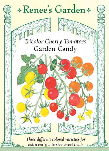 Garden Candy Tricolor Cherry Tomato Seeds 1 Garden Candy Tricolor Cherry Tomato Seeds