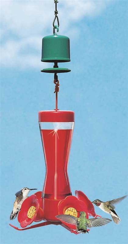 Permethrin Repellant Ant Guard For Hummingbird Feeder 1 Permethrin Repellant Ant Guard For Hummingbird Feeder