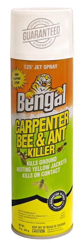 16 Ounce Carpenter Bee and Ant Killer 1 16 Ounce Carpenter Bee and Ant Killer