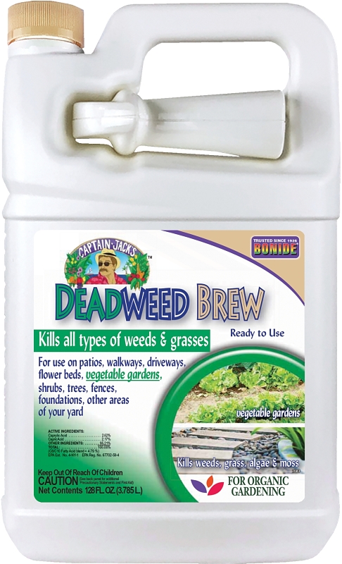 1-Gallon Captain Jack's Deadweed Brew 1 1-Gallon Captain Jack's Deadweed Brew