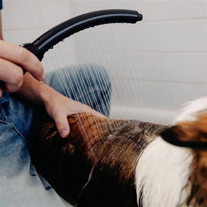 Pet Wand PRO Deluxe Shower Attachment 3 Pet Wand PRO Deluxe Shower Attachment