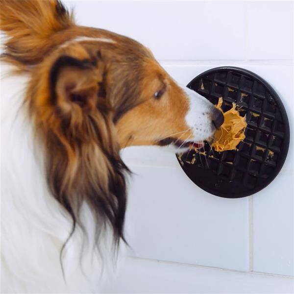 Pet Wand PRO Deluxe Shower Attachment 4 Pet Wand PRO Deluxe Shower Attachment