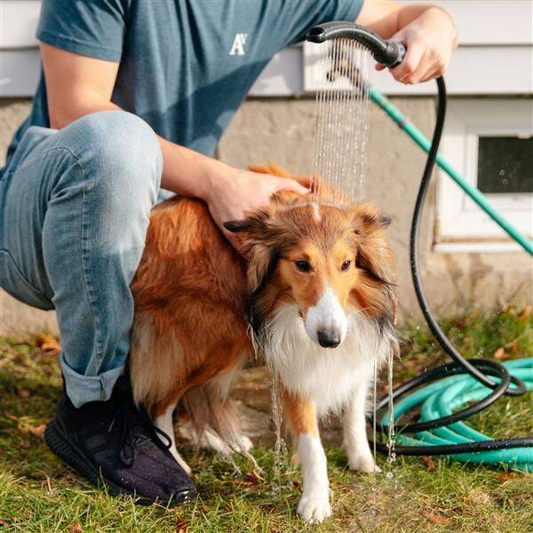 Pet Wand PRO Deluxe Shower Attachment 6 Pet Wand PRO Deluxe Shower Attachment