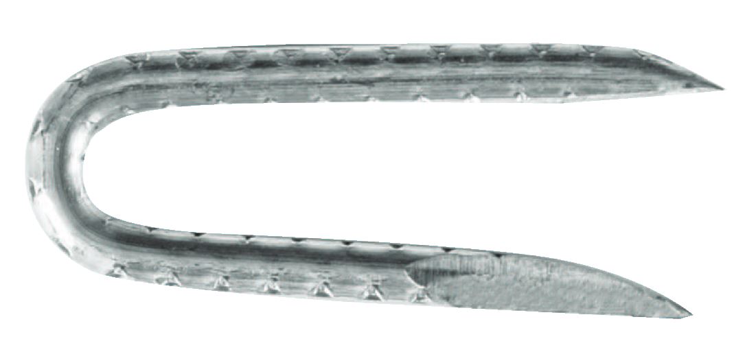 1-1/2-Inch Galvanized Fence Staple 5-Pound
