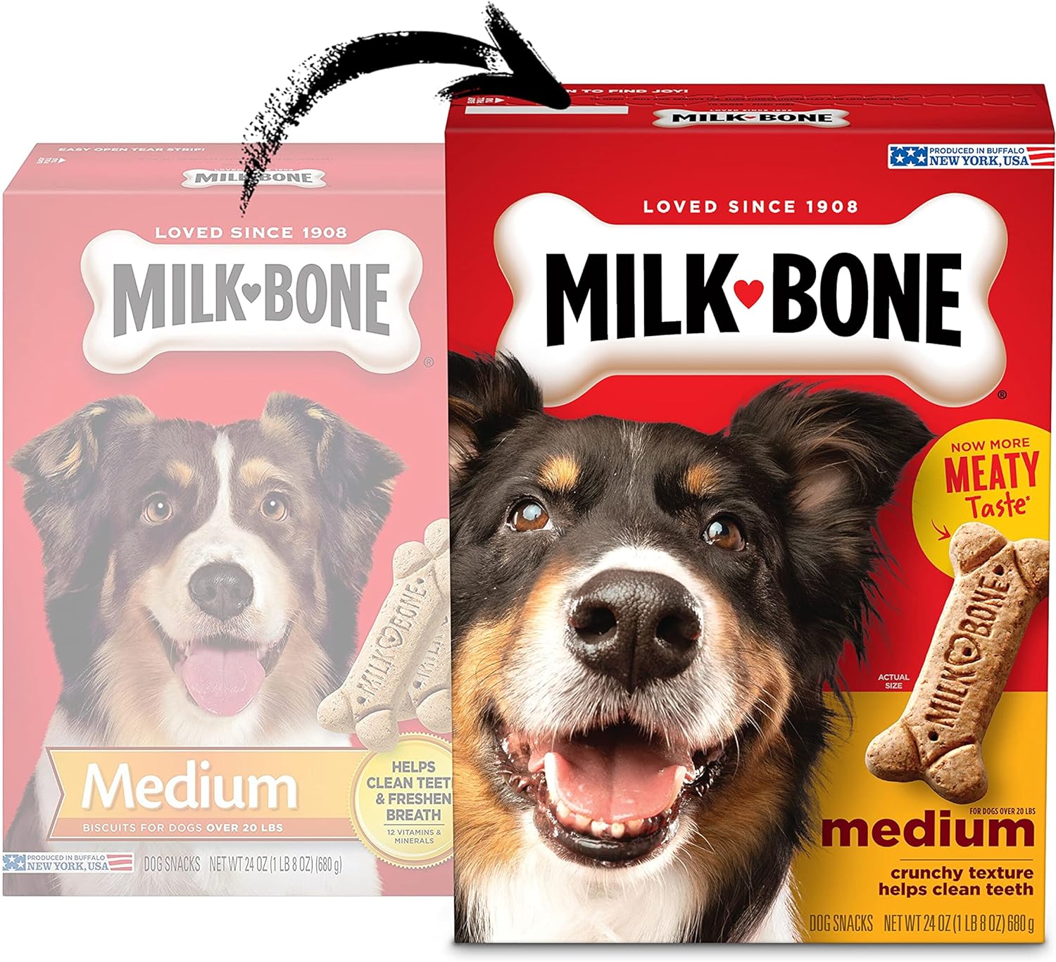24-Ounce, Medium Dog, Dog Treat Biscuit