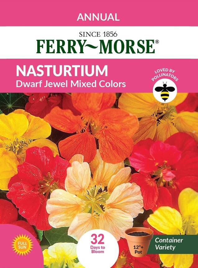 Nasturtium Jewel Mixed Color 3 Nasturtium Jewel Mixed Color