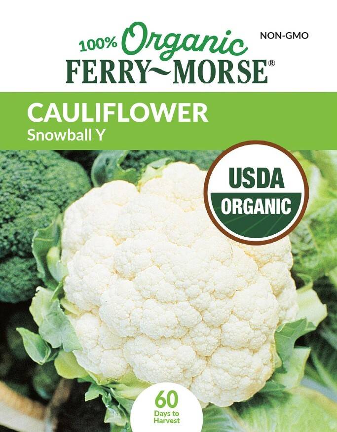 Cauliflower Snowball Y Organic 3 Cauliflower Snowball Y Organic