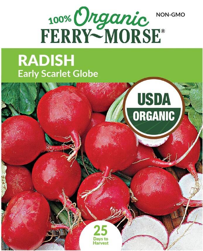 Radish Early Scarlet Globe Organic 3 Radish Early Scarlet Globe Organic