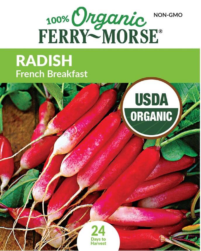 Radish French Breakfast Organic 3 Radish French Breakfast Organic