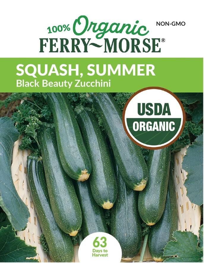 Squash Black Beauty Zucchini Organic 3 Squash Black Beauty Zucchini Organic