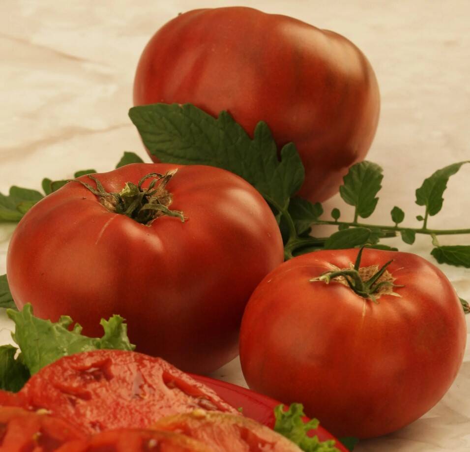 Tomato Cherokee Purple Organic 2 Tomato Cherokee Purple Organic