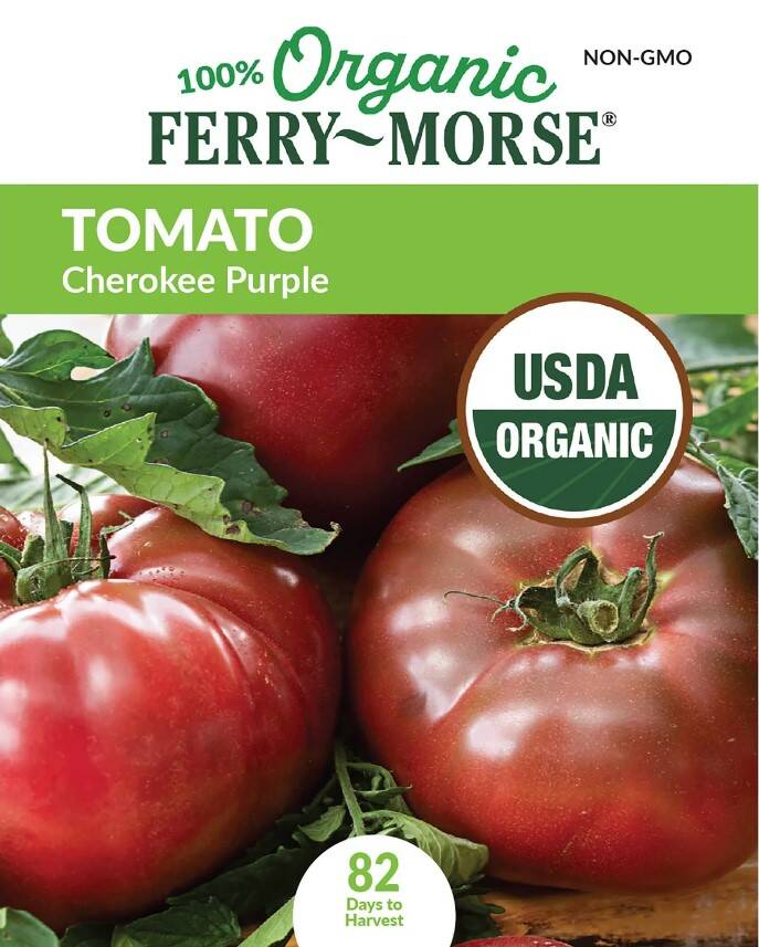 Tomato Cherokee Purple Organic 3 Tomato Cherokee Purple Organic