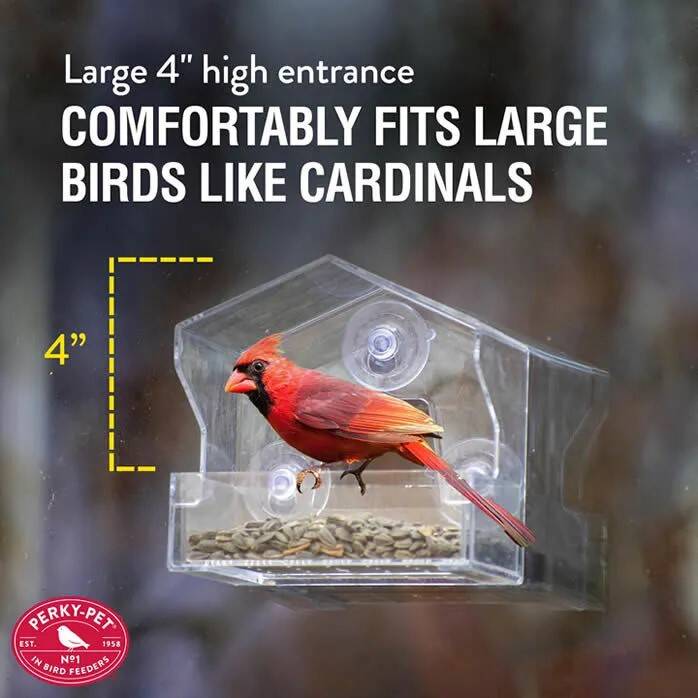 Perky-Pet 345 Small Bird Feeder, 0.5-Pound, Black-Oil Sunflower Seed, Mixed Seed, Sunflower Chips, Safflower Seed 3 Perky-Pet 345 Small Bird Feeder, 0.5-Pound, Black-Oil Sunflower Seed, Mixed Seed, Sunflower Chips, Safflower Seed