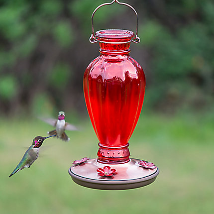 Daisy Vase Vintage Hummingbird Feeder