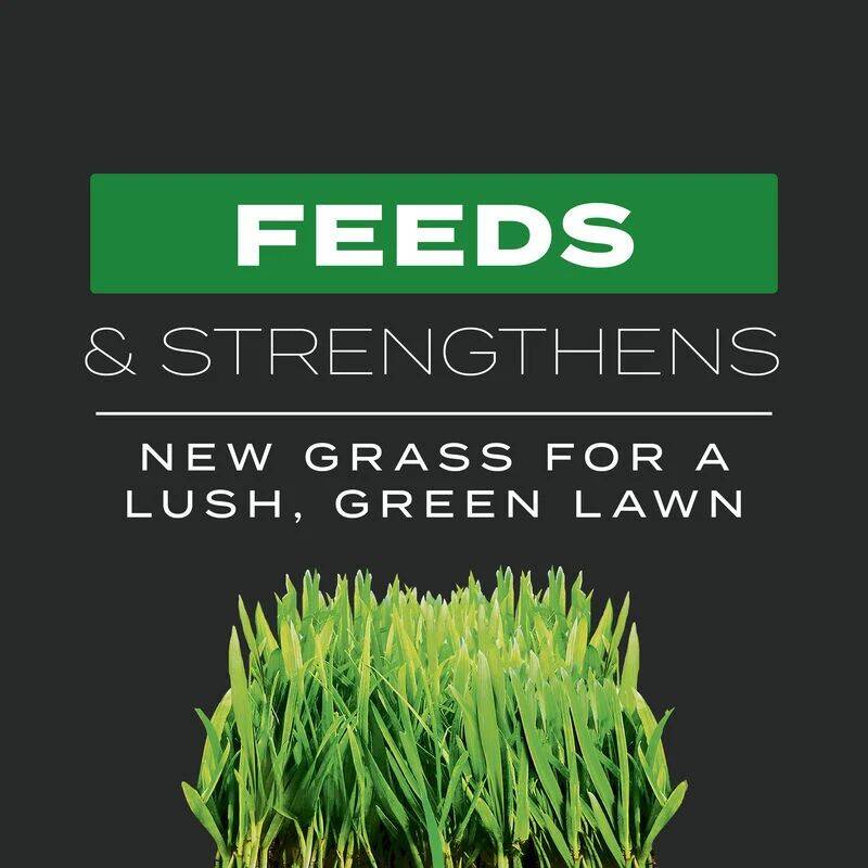 Triple Action Built For Seeding Lawn Fertilizer, 21-22-4 2 Triple Action Built For Seeding Lawn Fertilizer, 21-22-4