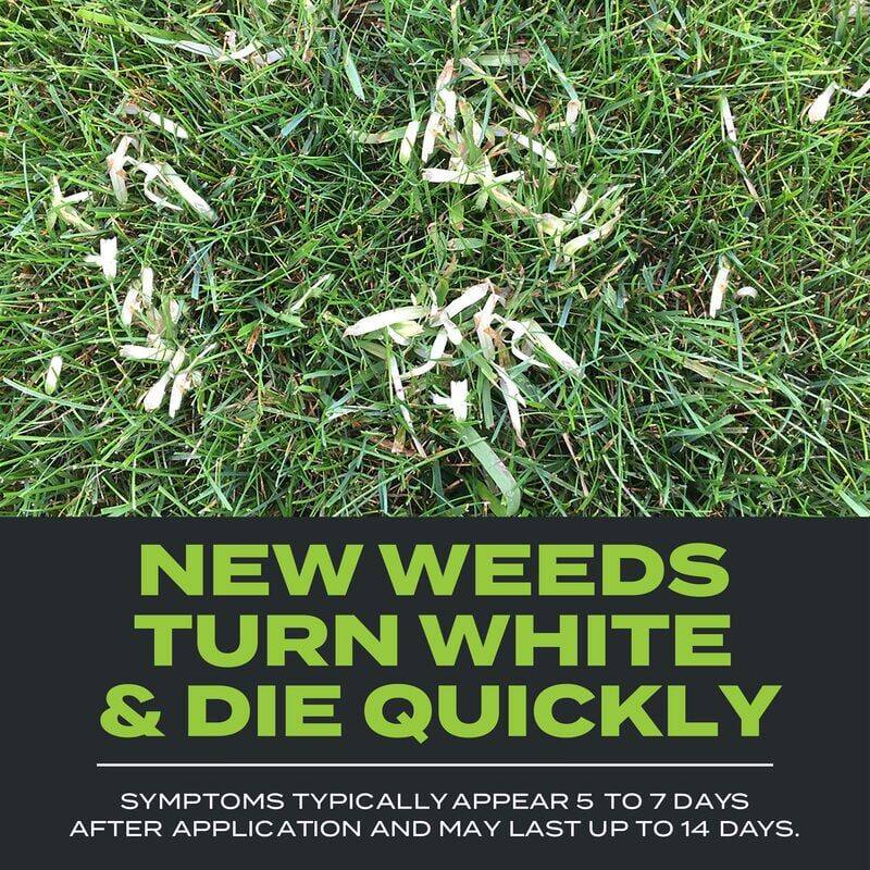 Triple Action Built For Seeding Lawn Fertilizer, 21-22-4 8 Triple Action Built For Seeding Lawn Fertilizer, 21-22-4