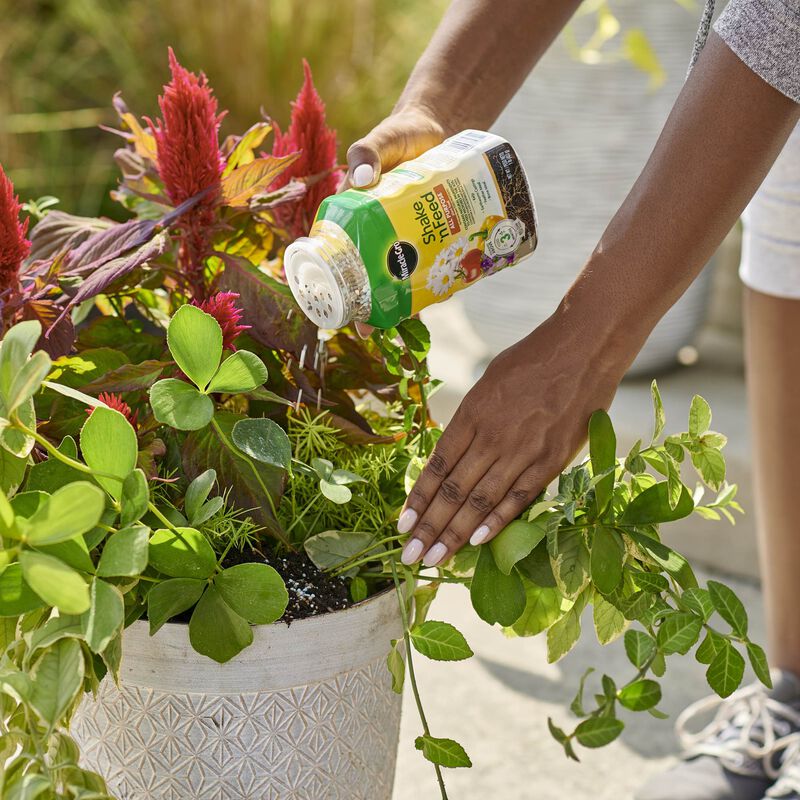 1-Pound, Shake 'n Feed, All-Purpose Plant Food 6 1-Pound, Shake 'n Feed, All-Purpose Plant Food