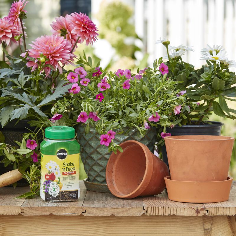 1-Pound, Shake 'n Feed, All-Purpose Plant Food 7 1-Pound, Shake 'n Feed, All-Purpose Plant Food