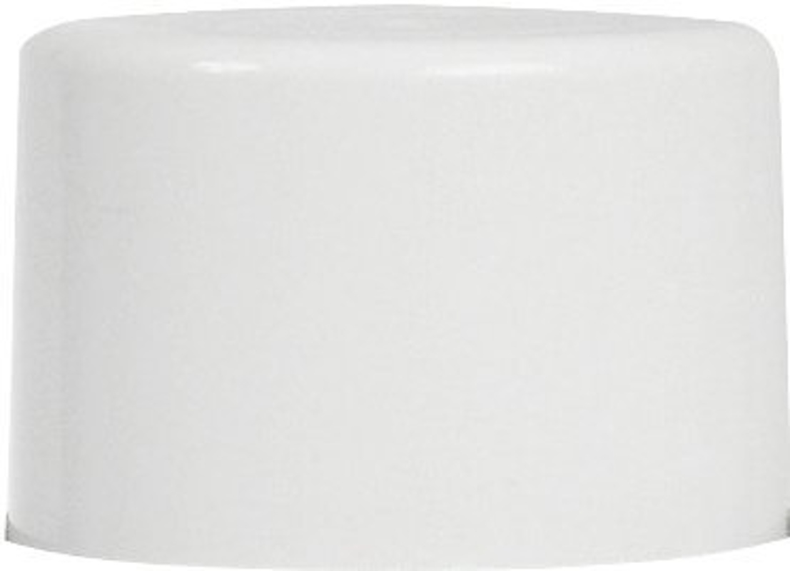 Touch 'N Tone, 10-Ounce, Flat White, All Purpose Spray Paint