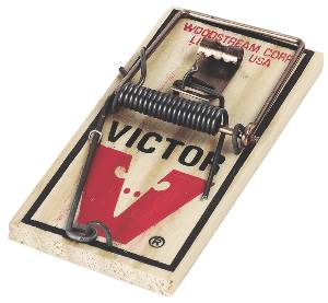 Metal Pedal Mouse Trap