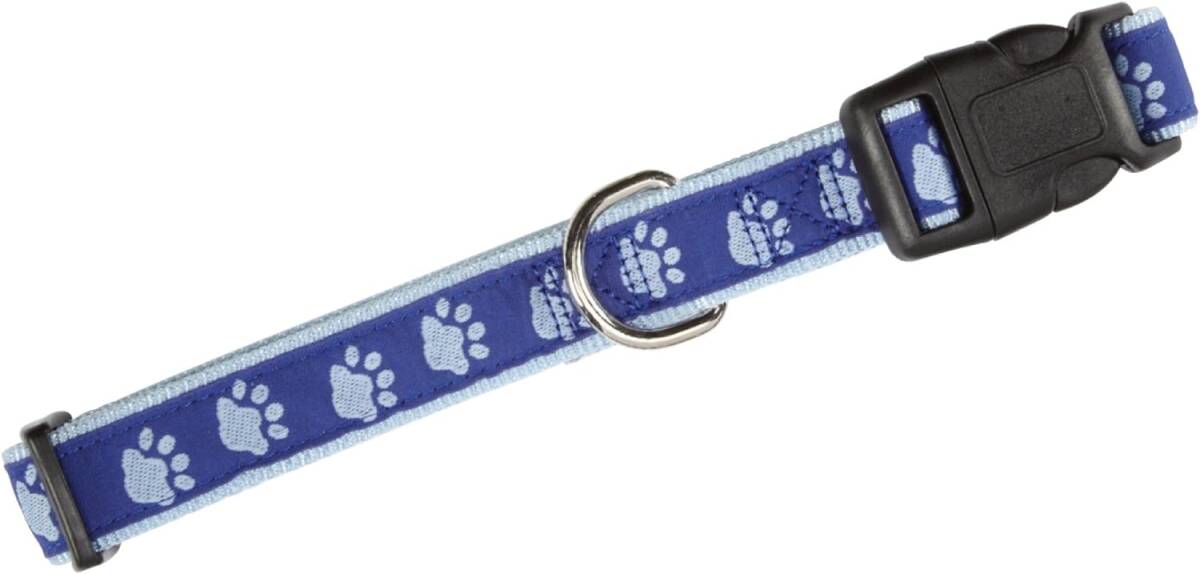 6 To 10-Inch, Blue Pawprint Dog Collar