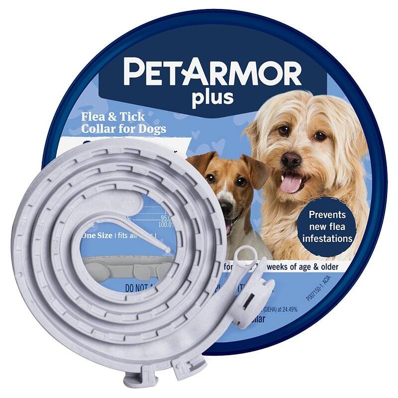 One-Size Pet Armor+ Flea and Tick Dog Collar