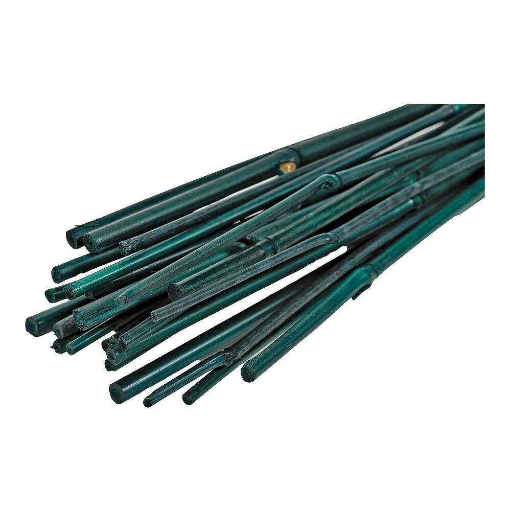 3-Foot Green Bamboo Plant Stake 1 3-Foot Green Bamboo Plant Stake
