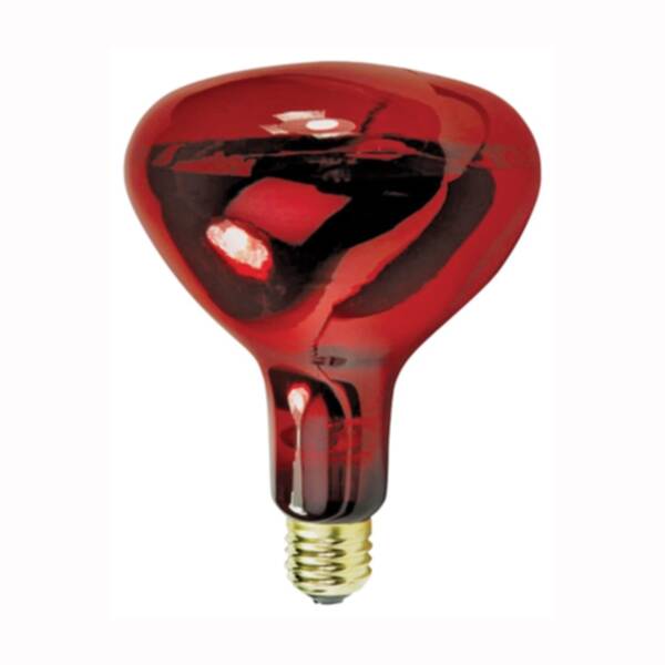 250w R40 Heat Lamp Red