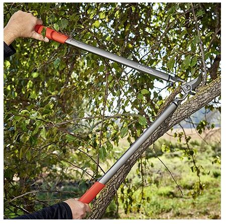 31-Inch ClassicCUT Bypass Lopper
